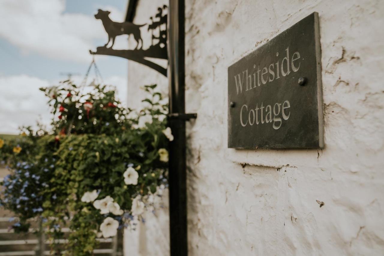 White Side Cottage Холтуисъл Екстериор снимка
